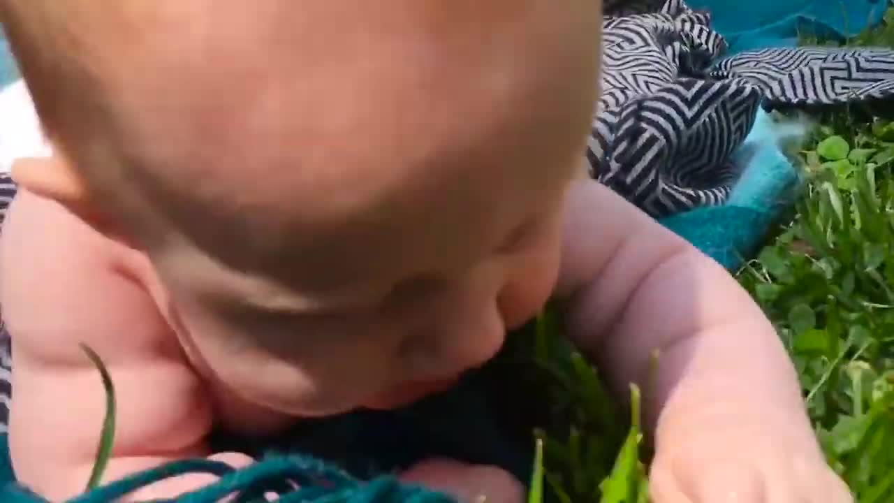 Interesting Baby And Vizsla Dogs Playing Together Cute Baby