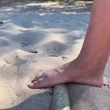 Summer beach a funny family