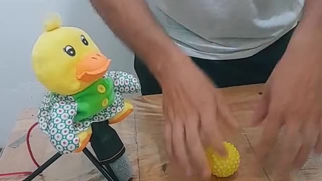 A MÁGICA QUE UMA BOLA VIRA DUAS