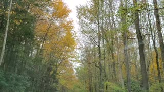 Driving Through the Smokey Mountains