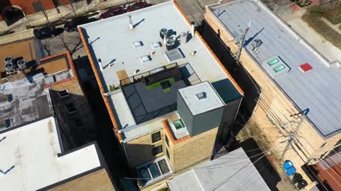 Elegant Expansive Mansion in Chicago Illinois