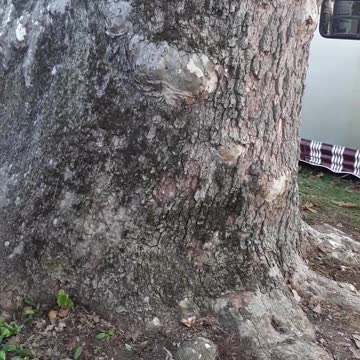 Ohio Veterans, THANK YOU, and thank you for William T Sherman