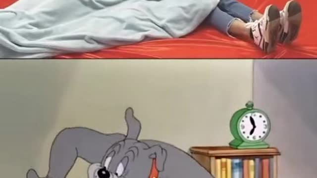 The Tom and Jerry tradition is wonderful