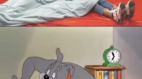 The Tom and Jerry tradition is wonderful