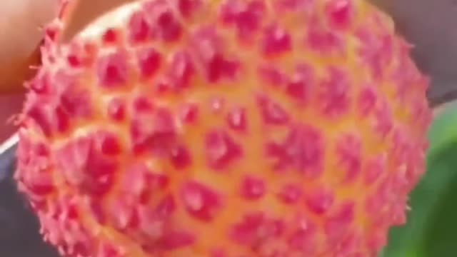 Fruits Video Farm Fresh Ninja Fruit Cutting Satisfying Fruit | Amazing Fruits Video #fruits #short