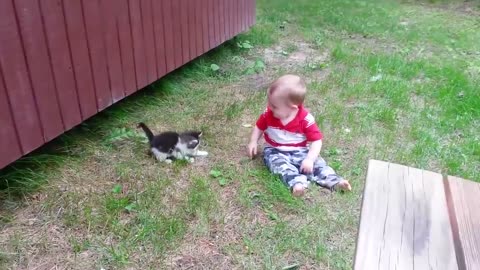 Funny Cat Videos 2020 - Baby and Cat Fun