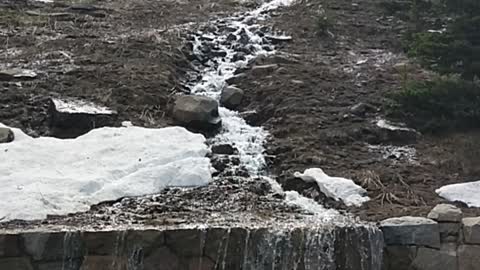 Melting snow in the Rocky Mountains