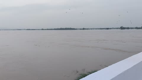 Mahanadi river view