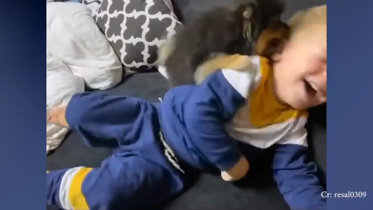 COMPLIATIONS OF PUPPIES AND BABIES