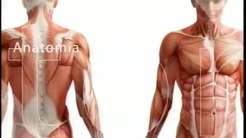 Salud: Plasma Marino