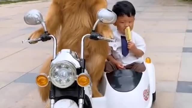 All things are spiritual Dogs really know how to take care of children are too in place too handsome