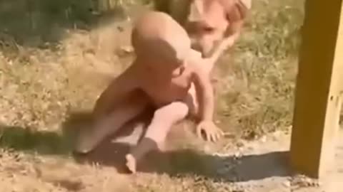 cute baby funny videos