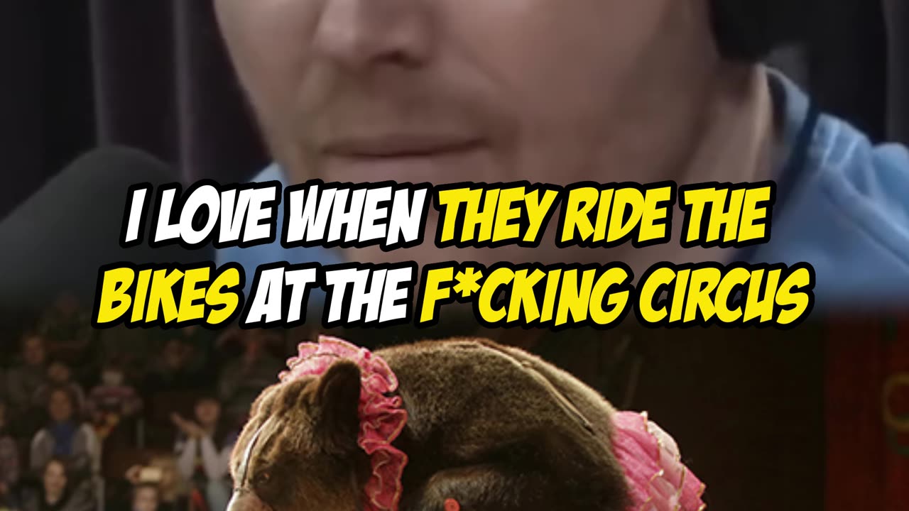 Bears Riding Bicicles at the Circus Bill Burr