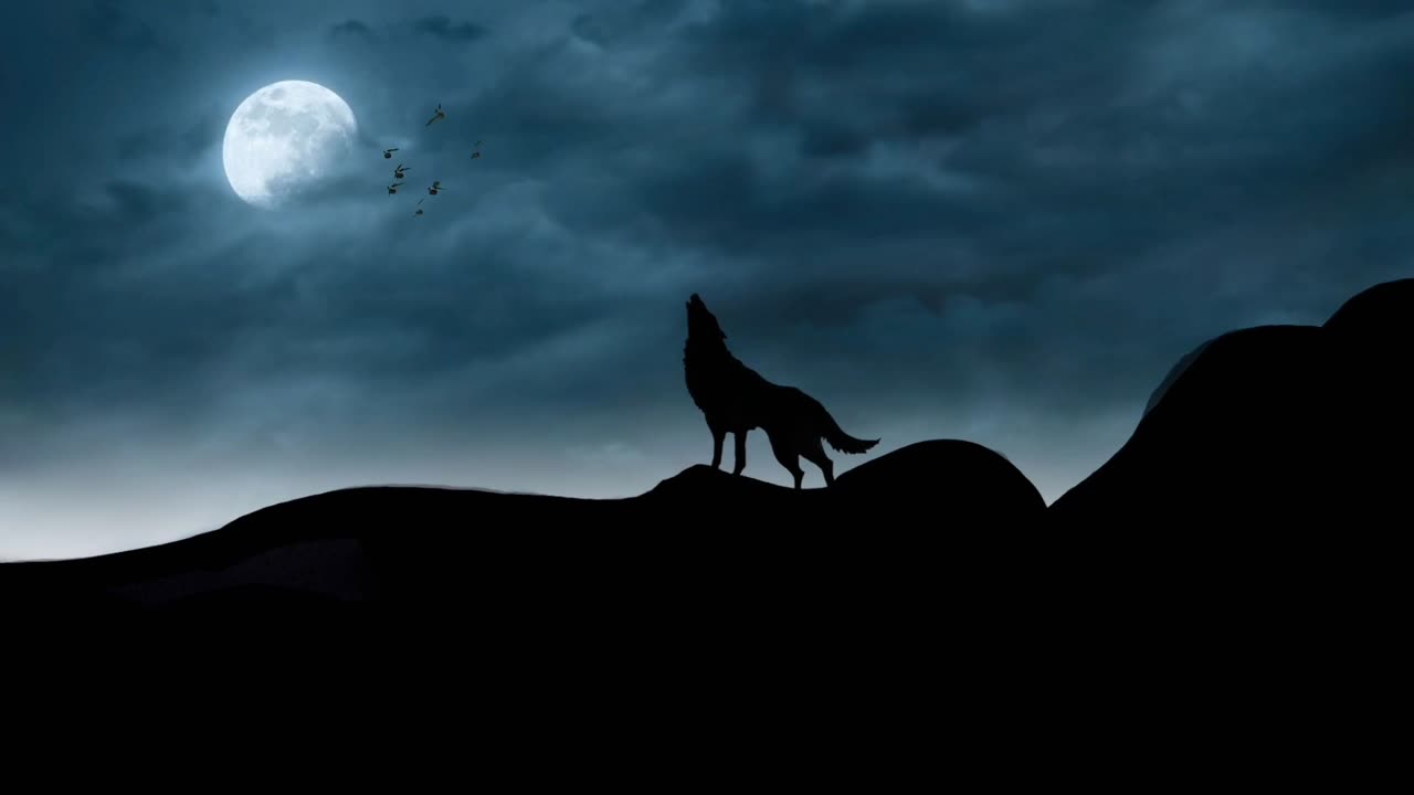 The sound of a wolf howling at night