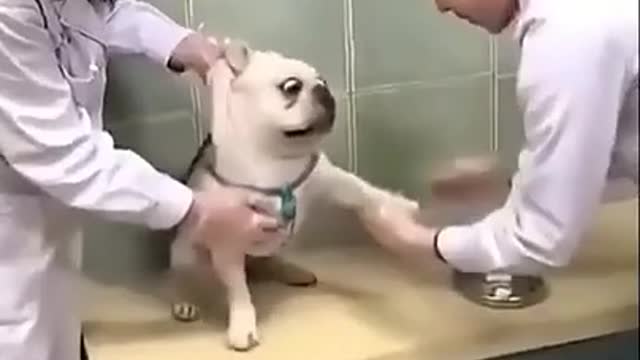 Injection time
