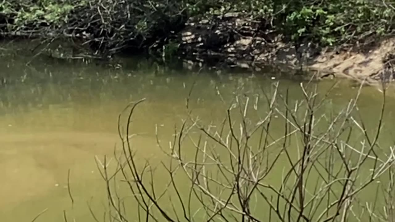 Praia Costeira e Fayet | Virtual Tour | 10/10