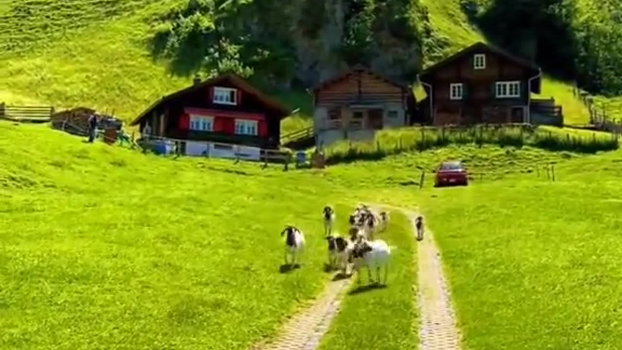 World Beautiful views