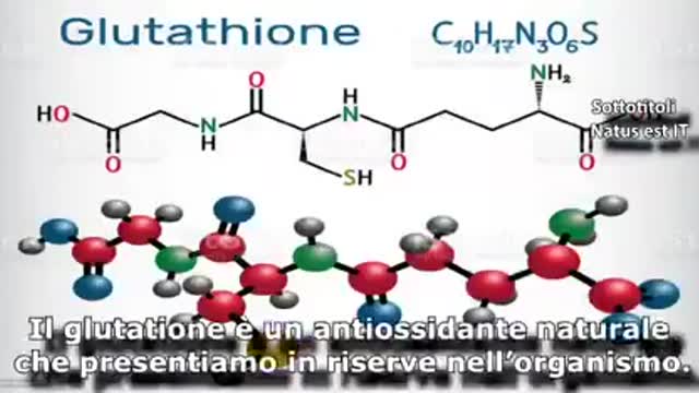 I ricercatori spagnoli hanno scoperto cosa è in realtà il fantavirus