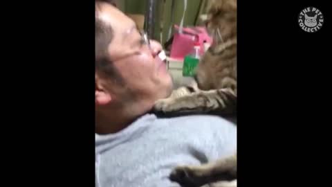 when cats want you to quiet