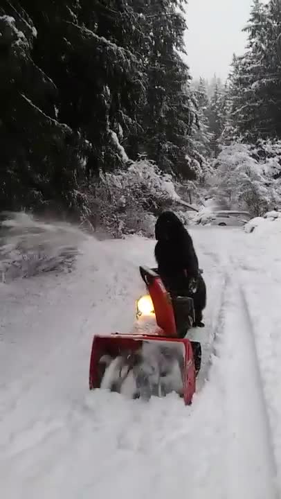 Colaboradora Terranova usa una máquina quitanieve para limpiar la entrada