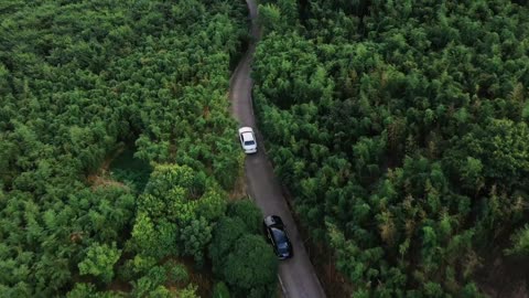 Ghost, The Formula for Serenity