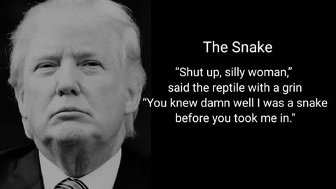 DJT The Snake