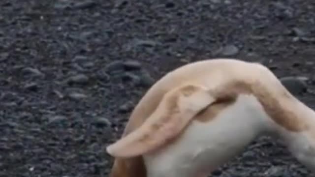 bad day, not a bad life