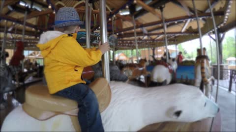 A toddler riding carousel at the zoo