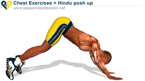 Hindu push up for training shoulders triceps and chest