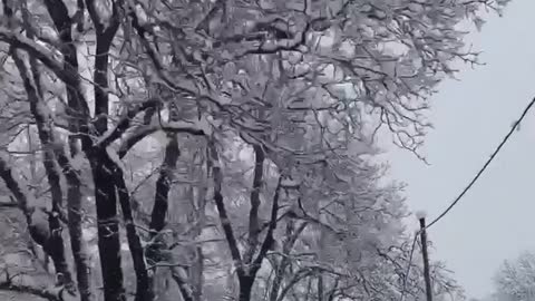 Beautiful Nature - Winter in Georgia