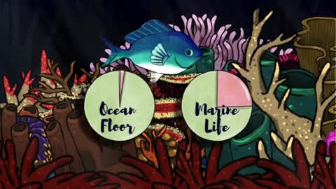 seaweed is vital to this ecosystem