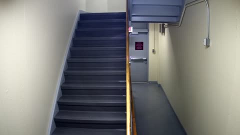 3865FHOB01Stair10_2021-01-06_04h40min00s650ms.mp4