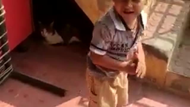 Play with cat small baby spoken