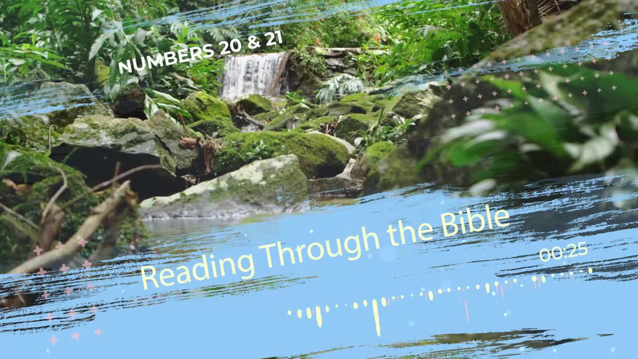 Reading Through the Bible - "Water from the Rock"