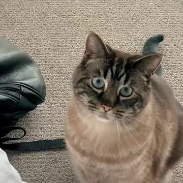 I HAVE TO TELL YOU SOMETHING! Hi