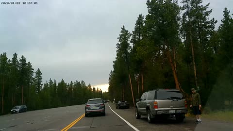 Driving Through Yellowstone