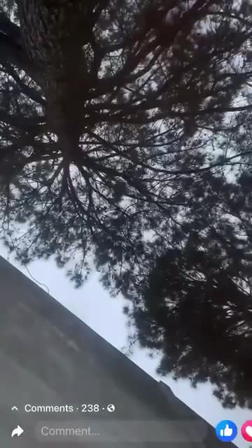 USA: Massive gunfight at block party in Memphis, Tennessee!