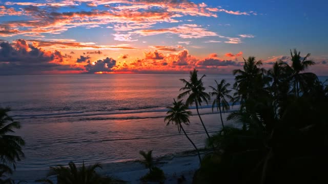 I dare you to enjoy this vibe
