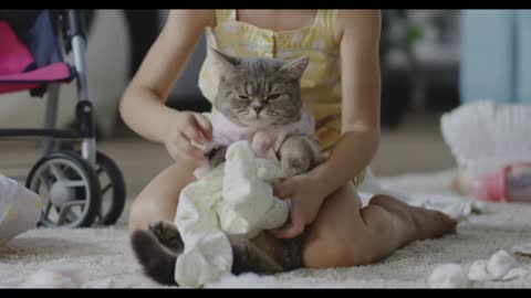 Close up shot of girl putting clothes on cat