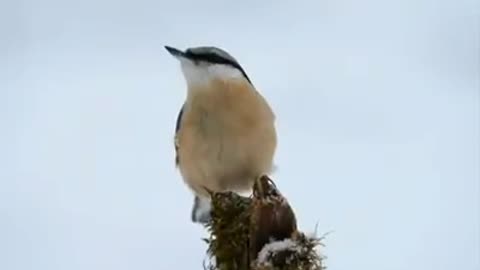 Time with God - June 25