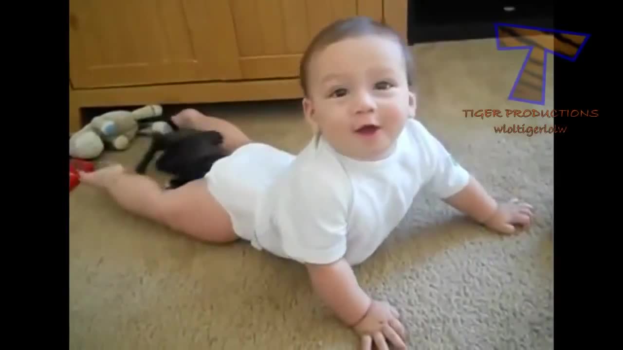 cute babies and dogs playing together