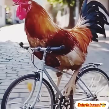 Funny😝😝 video😝😝