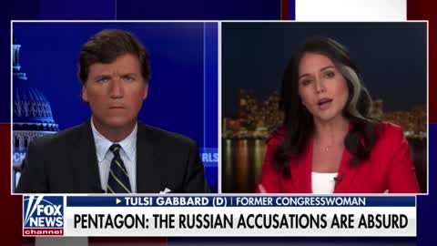 Tulsi Gabbard reacts to the presence of biolabs in Ukraine: "The seriousness of this situation really can't be overstated."