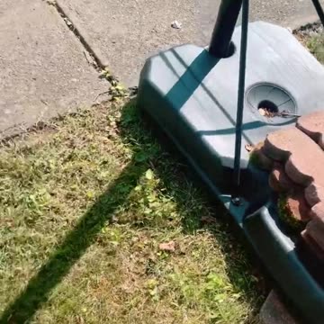 Clear brain fog east fast tips #shorts