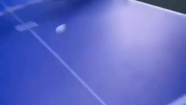 Dog vs Ping Pong Ball