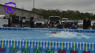 Coolwag Spring Fling (off the dock) Dive 6