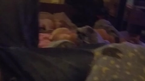 Baby penny snoring