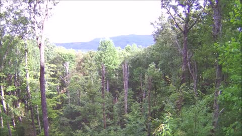 Blue Ridge mountains 9-24-2023