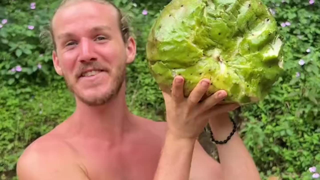 Soursop Giant Fruit