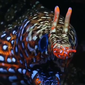 This hole is getting bigger by the minute